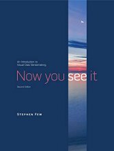 Cover art for Now You See It: An Introduction to Visual Data Sensemaking
