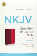 Cover art for NKJV, Reference Bible, Giant Print, Leathersoft, Pink, Red Letter Edition (Classic)