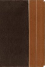 Cover art for NIV, Essentials Study Bible, Leathersoft, Brown/Tan: Easily Grasp the Fundamentals of Scripture through Lenses from 6 Bestselling NIV Resources