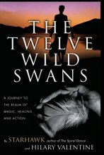 Cover art for The Twelve Wild Swans: A Journey to the Realm of Magic, Healing, and Action