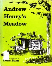 Cover art for Andrew Henry's Meadow