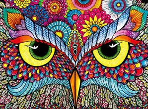 Cover art for Buffalo Games - Vivid Collection - Owl Eyes - 1000 Piece Jigsaw Puzzle