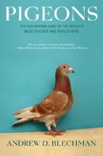 Cover art for Pigeons: The Fascinating Saga of the World's Most Revered and Reviled Bird