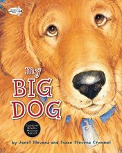 Cover art for My Big Dog (A Golden Classic)