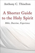 Cover art for A Shorter Guide to the Holy Spirit: Bible, Doctrine, Experience