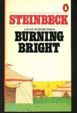 Cover art for Burning Bright: A Play in Story Form