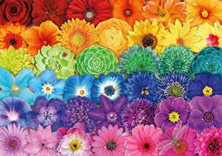 Cover art for Buffalo Games - Flower Spectrum - 300 Large Piece Jigsaw Puzzle