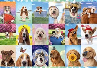 Cover art for Buffalo Games - It's a Ruff Life - 300 Large Piece Jigsaw Puzzle