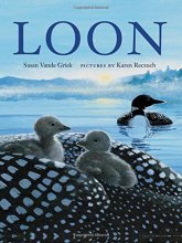 Cover art for Loon