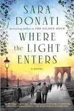 Cover art for Where the Light Enters