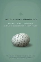 Cover art for Remnants of Another Age (Lannan Translations Selection Series)