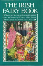 Cover art for Irish Fairy Book