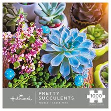 Cover art for Pretty Succulents 1,000-Piece Puzzle