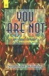 Cover art for You Are Not: Beyond the Three Veils of Consciousness