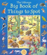 Cover art for The Usborne Big Book of Things to Spot (1001 Things to Spot)