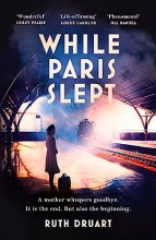 Cover art for While Paris Slept