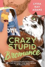 Cover art for Crazy Stupid Bromance (Bromance Book Club)