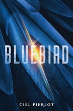 Cover art for Bluebird