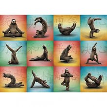 Cover art for Sloth Yoga: 1000-piece Puzzle