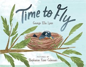 Cover art for Time to Fly