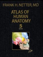 Cover art for Atlas of Human Anatomy, Professional Edition (5th edition) (Netter Basic Science)