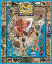 Cover art for White Mountain Puzzles Shells of our Shores - 1000 Piece Jigsaw Puzzle