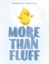 Cover art for More Than Fluff