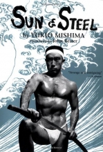Cover art for Sun and Steel