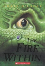 Cover art for The Fire Within