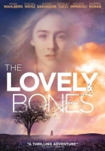 Cover art for The Lovely Bones
