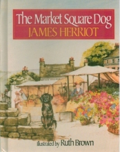 Cover art for The Market Square Dog