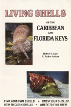 Cover art for Living Shells of the Caribbean and Florida Keys