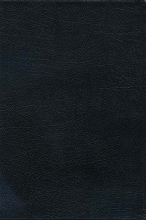 Cover art for The Orthodox Study Bible: Ancient Christianity Speaks to Today's World