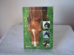 Cover art for A Pocket Guide to Horses & Ponies