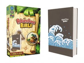 Cover art for NIV, Adventure Bible, Leathersoft, Gray, Full Color Interior