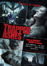 Cover art for Trapped Ashes