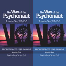 Cover art for The Way of the Psychonaut Vol. 1: Encyclopedia for Inner Journeys