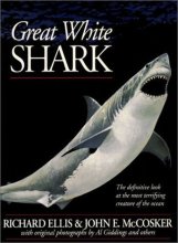 Cover art for Great White Shark