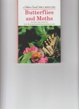 Cover art for Butterflies and Moths (Golden Field Guide)