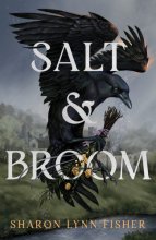 Cover art for Salt & Broom