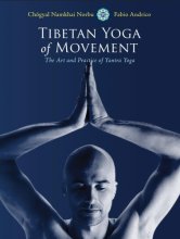 Cover art for Tibetan Yoga of Movement: The Art and Practice of Yantra Yoga
