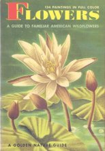 Cover art for Flowers: a Golden Nature Guide