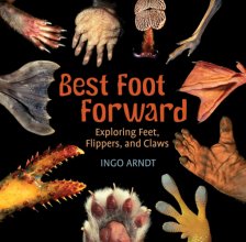 Cover art for Best Foot Forward: Exploring Feet, Flippers, and Claws