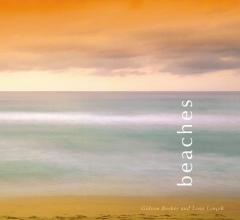 Cover art for Beaches