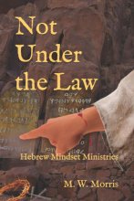 Cover art for Not Under the Law: Paul's Gospel from a Hebrew Mindset