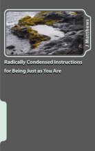 Cover art for Radically Condensed Instructions for Being Just as You Are