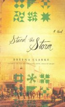 Cover art for Stand the Storm: A Novel