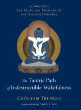 Cover art for The Tantric Path of Indestructible Wakefulness: The Profound Treasury of the Ocean of Dharma, Volume Three