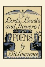 Cover art for Birds, Beasts and Flowers!: Poems (A Black Sparrow Book)