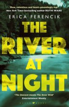 Cover art for The River at Night: A Taut and Gripping Thriller